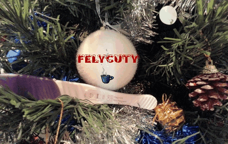 santa`s gift for felycuty